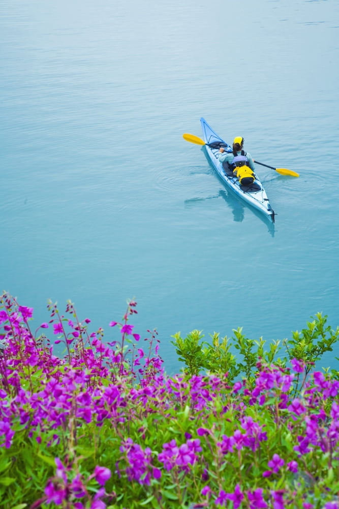 Person Sea Kayaking In Shoup Bay In Prince William Sound Southcentral Alaska Canvas Art - Michael DeYoung Design Pics (22 x 34)