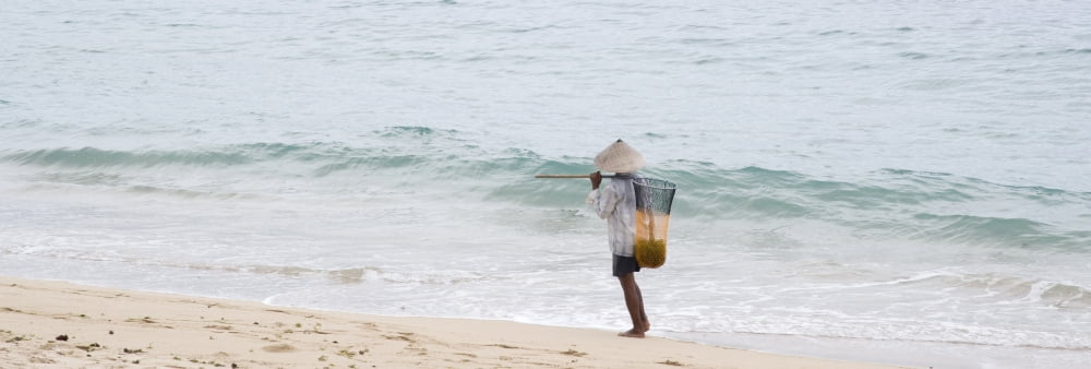 Person Walking On The Beach With A Fishing Net BaliIndonesia Canvas Art - Keith Levit Design Pics (36 x 13)