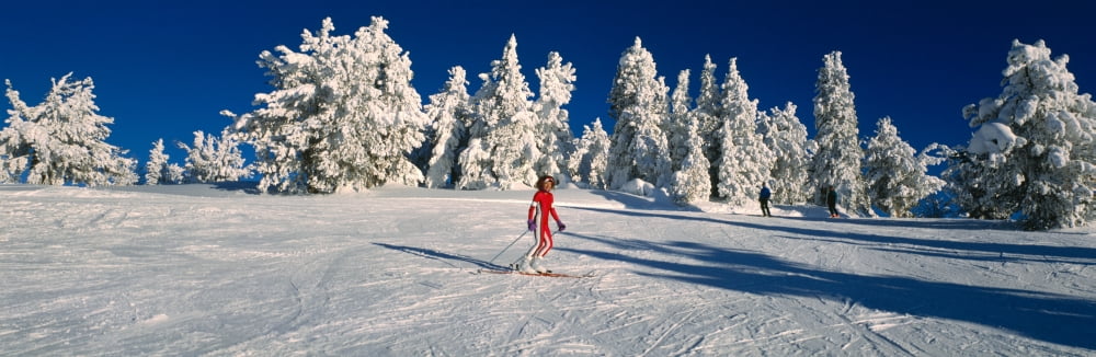 Person skiing in snow covered landscape Canvas Art - Panoramic Images (36 x 12)