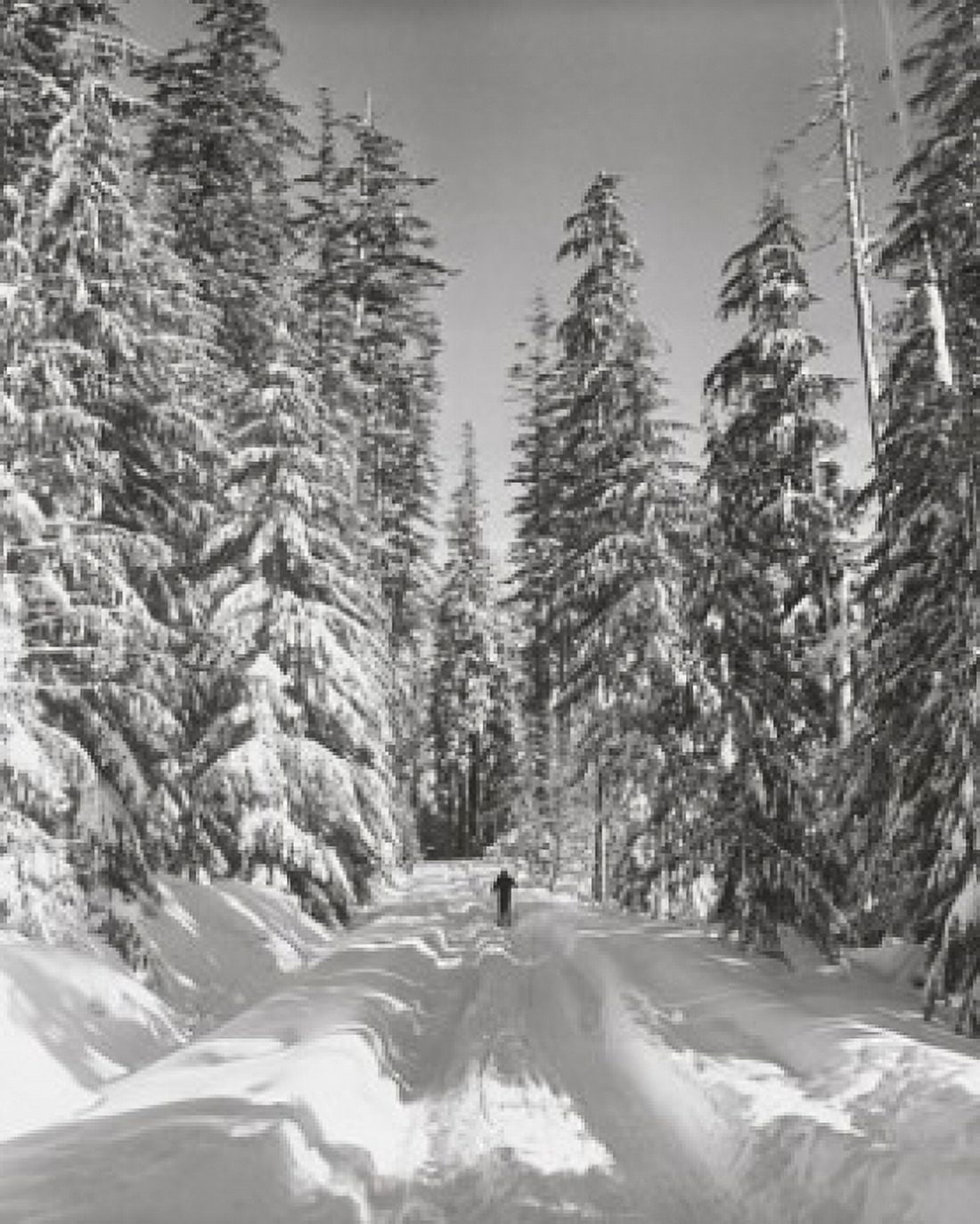 Person skiing on snow Canvas Art - (18 x 24)