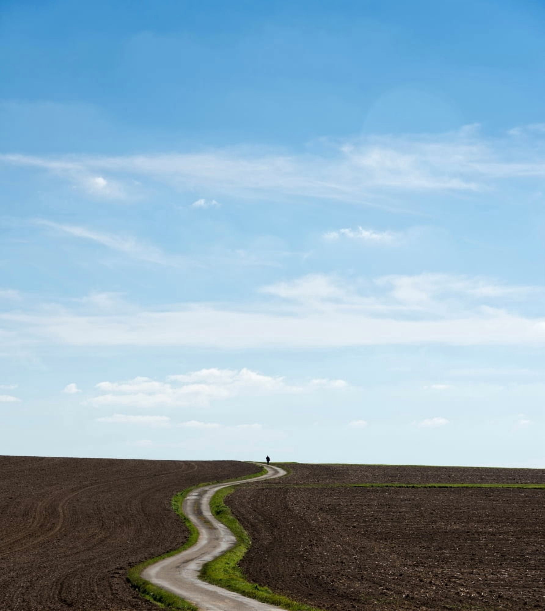 Person walking through an agricultural field Baden-Wurttemberg Germany Canvas Art - Panoramic Images (32 x 36)