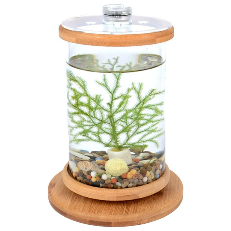 PersonalhomeD Fish Tank Fish Aquarium Fish Home Desktop Ecological Bottle  Creative Office Tempered Glass Micro-Cylinder Rotating Bedroom Fish Tank