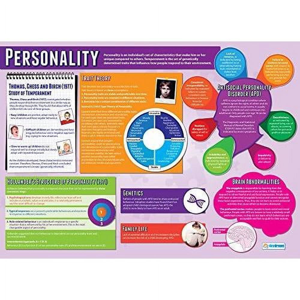 Personality Psychology Laminated Gloss Paper Measuring 33” X 23.5