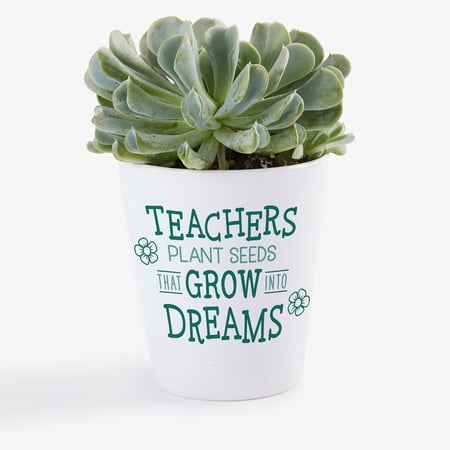 Personalization Mall Growing Dreams Mini Flower Pot