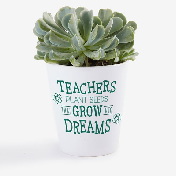 Personalization Mall Growing Dreams Mini Flower Pot