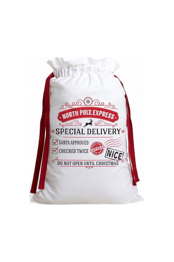 Special Delivery From Santa Canvas Drawstring Sack-Small