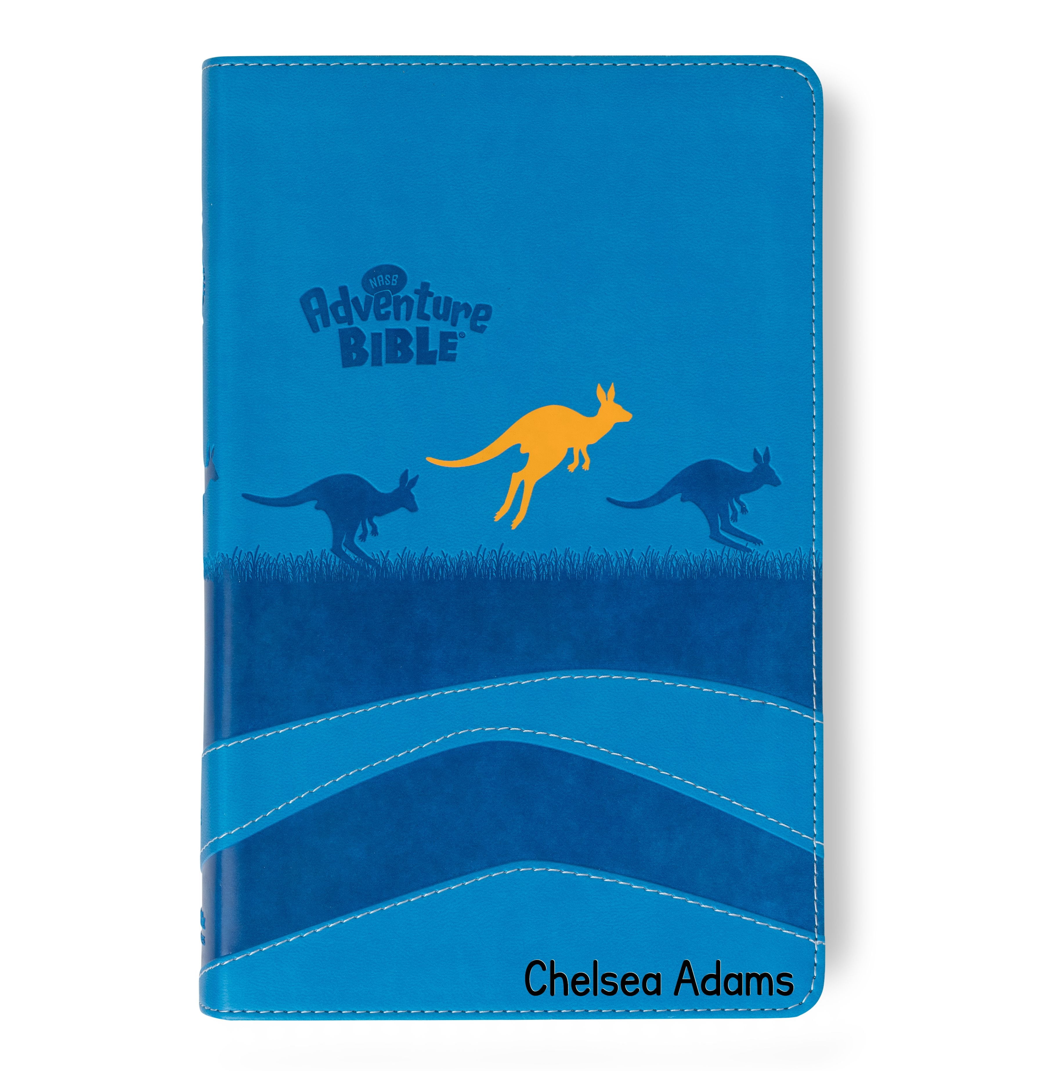 Personalized Adventure Bible for Youth, NASB 1995 Youth Bible with Name Engraved, Early Readers Custom Bible, Christian gifts, Baptism gift