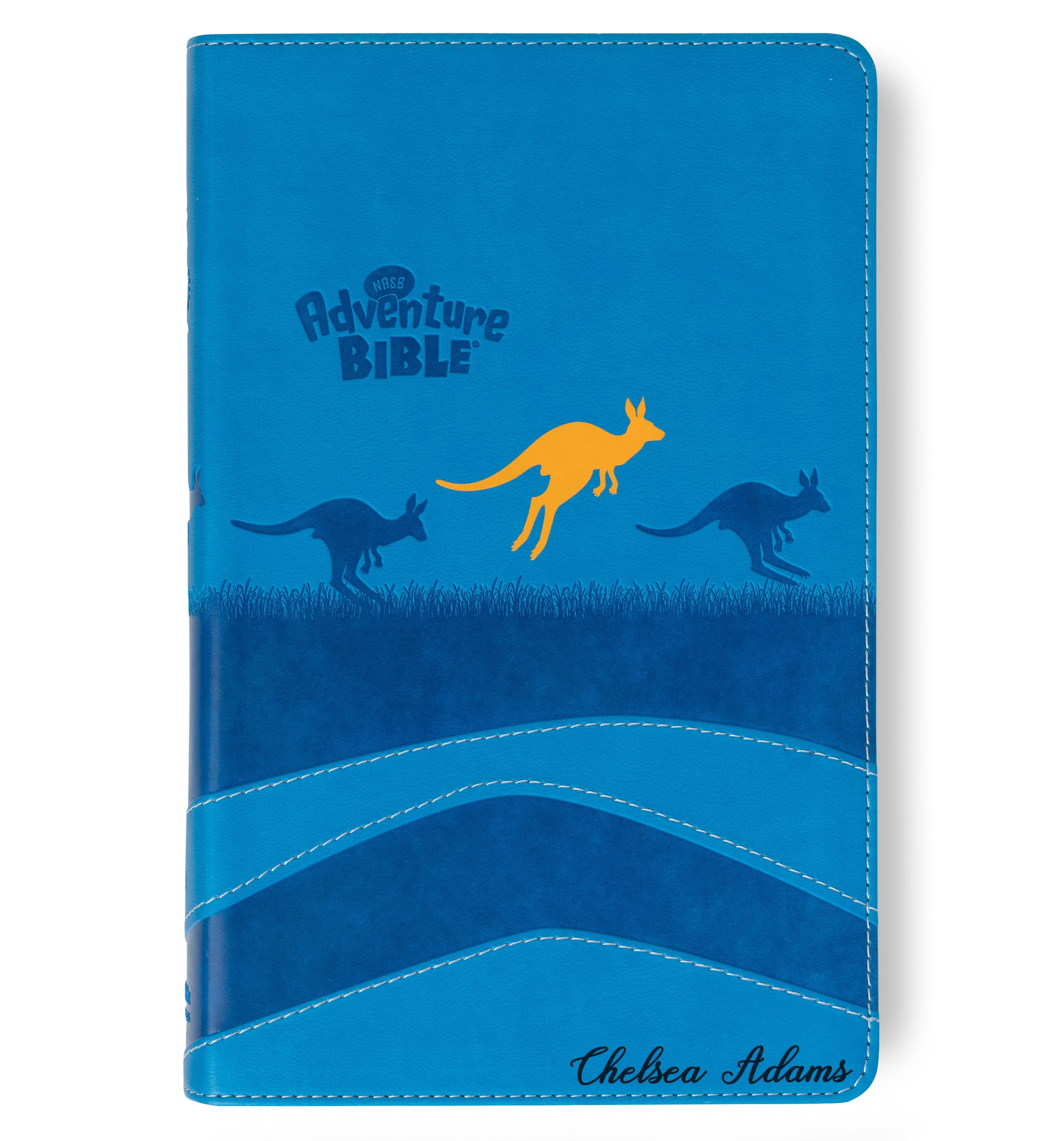 Personalized Adventure Bible for Youth, NASB 1995 Youth Bible with Name Engraved, Early Readers Custom Bible, Christian gifts, Baptism gift