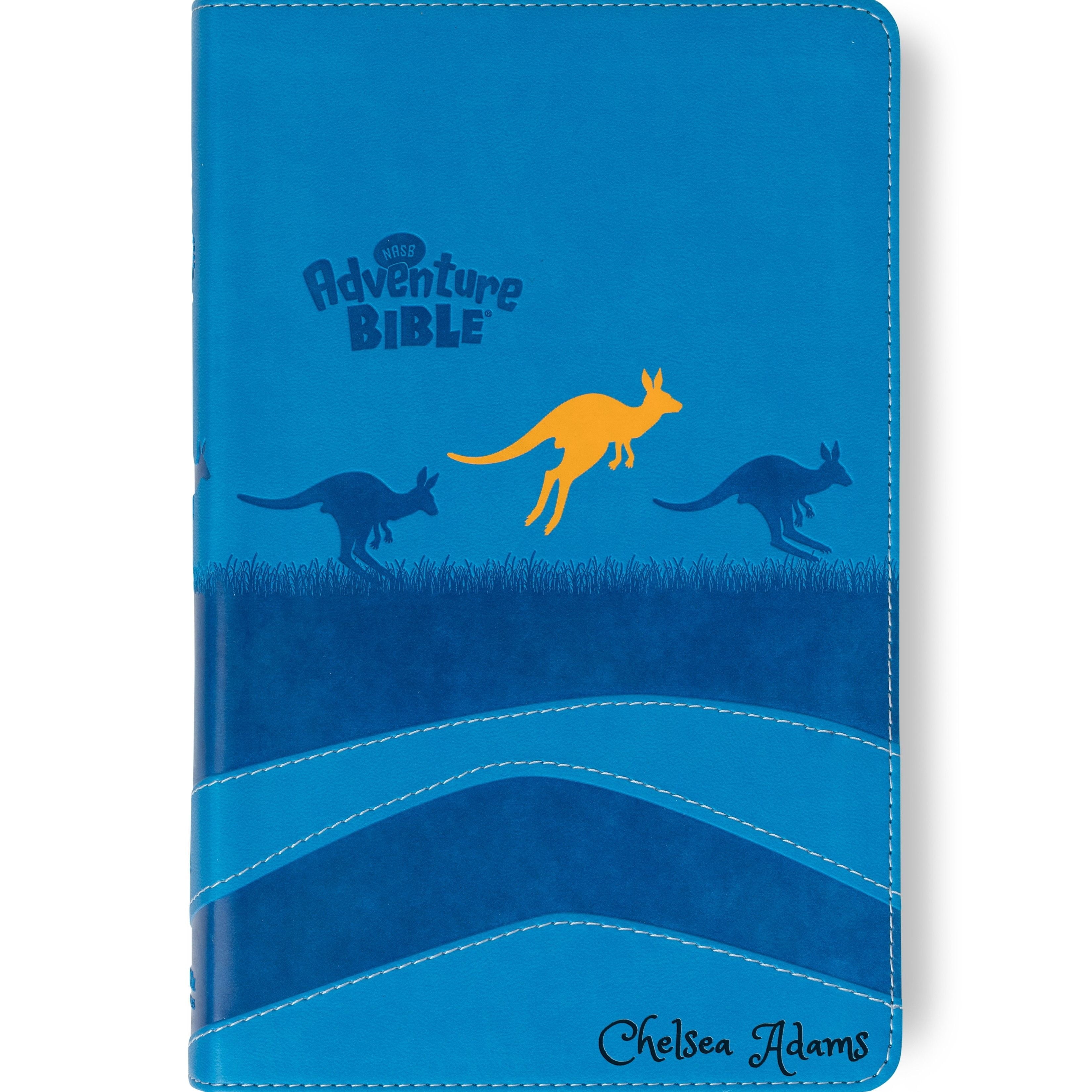 Personalized Adventure Bible for Youth, NASB 1995 Youth Bible with Name Engraved, Early Readers Custom Bible, Christian gifts, Baptism gift
