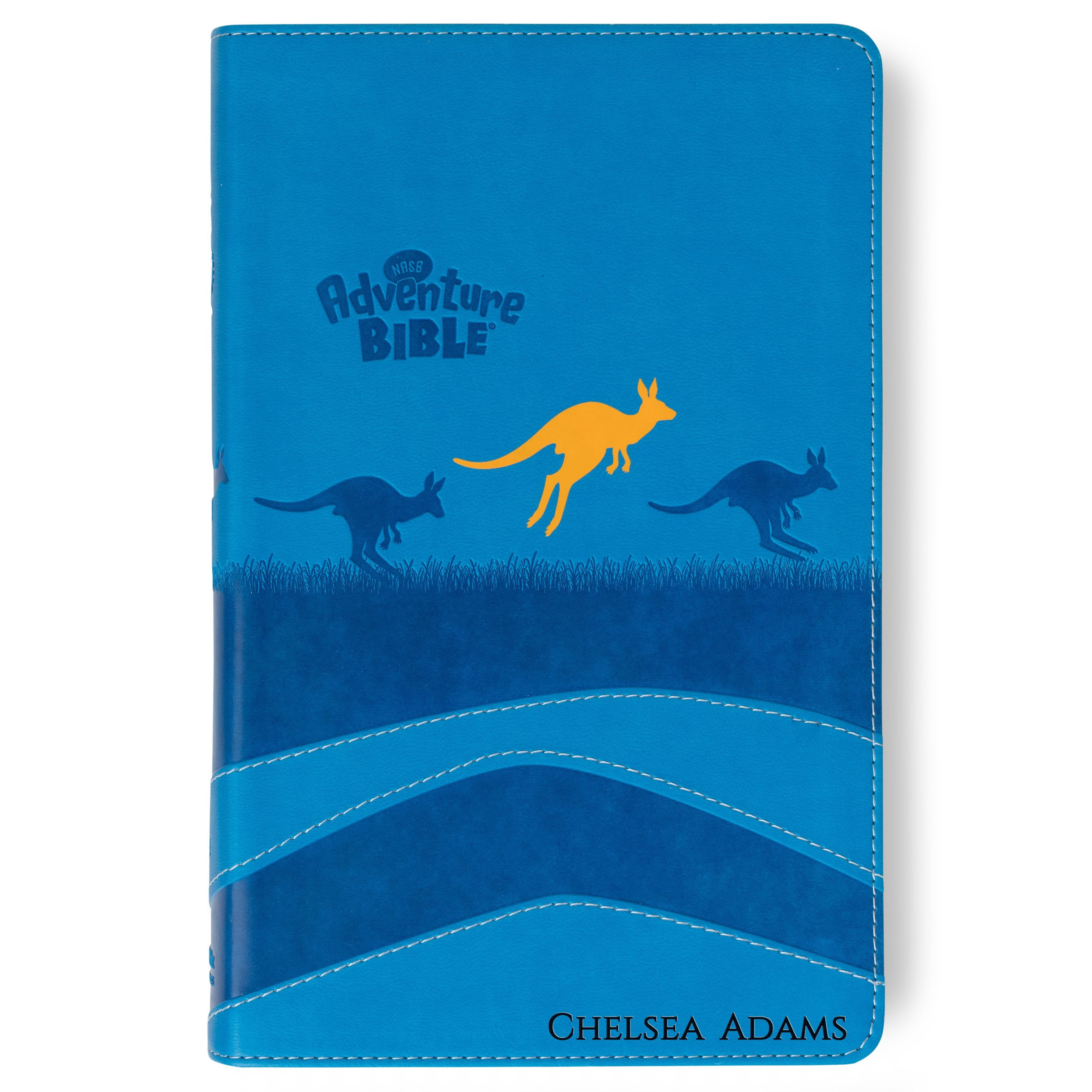 Personalized Adventure Bible for Youth, NASB 1995 Youth Bible with Name Engraved, Early Readers Custom Bible, Christian gifts, Baptism gift