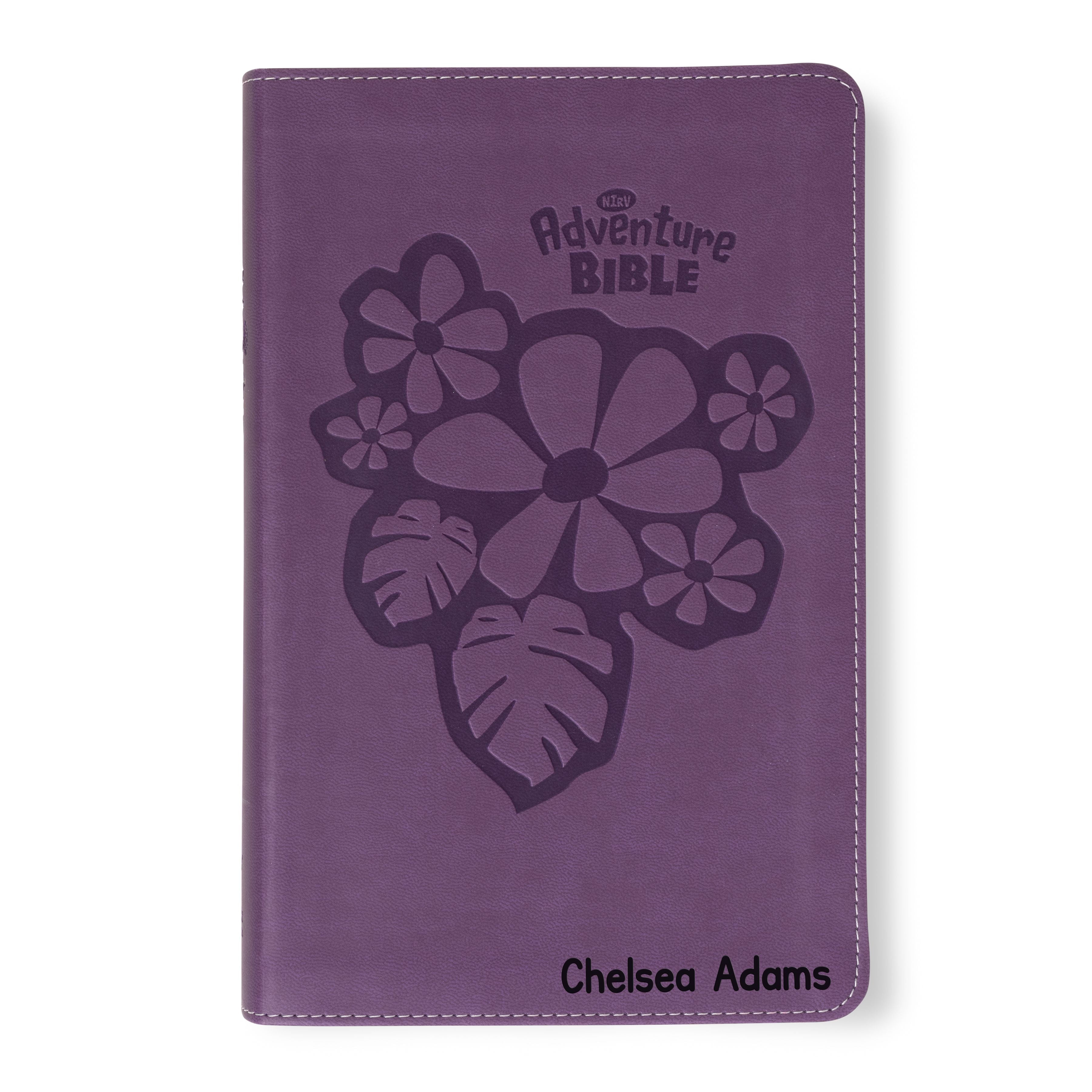 Personalized Adventure Bible for Youth, NIrV Youth's Bible with Name Engraved, Early Readers Custom Bible, Christian gifts, Baptism gift