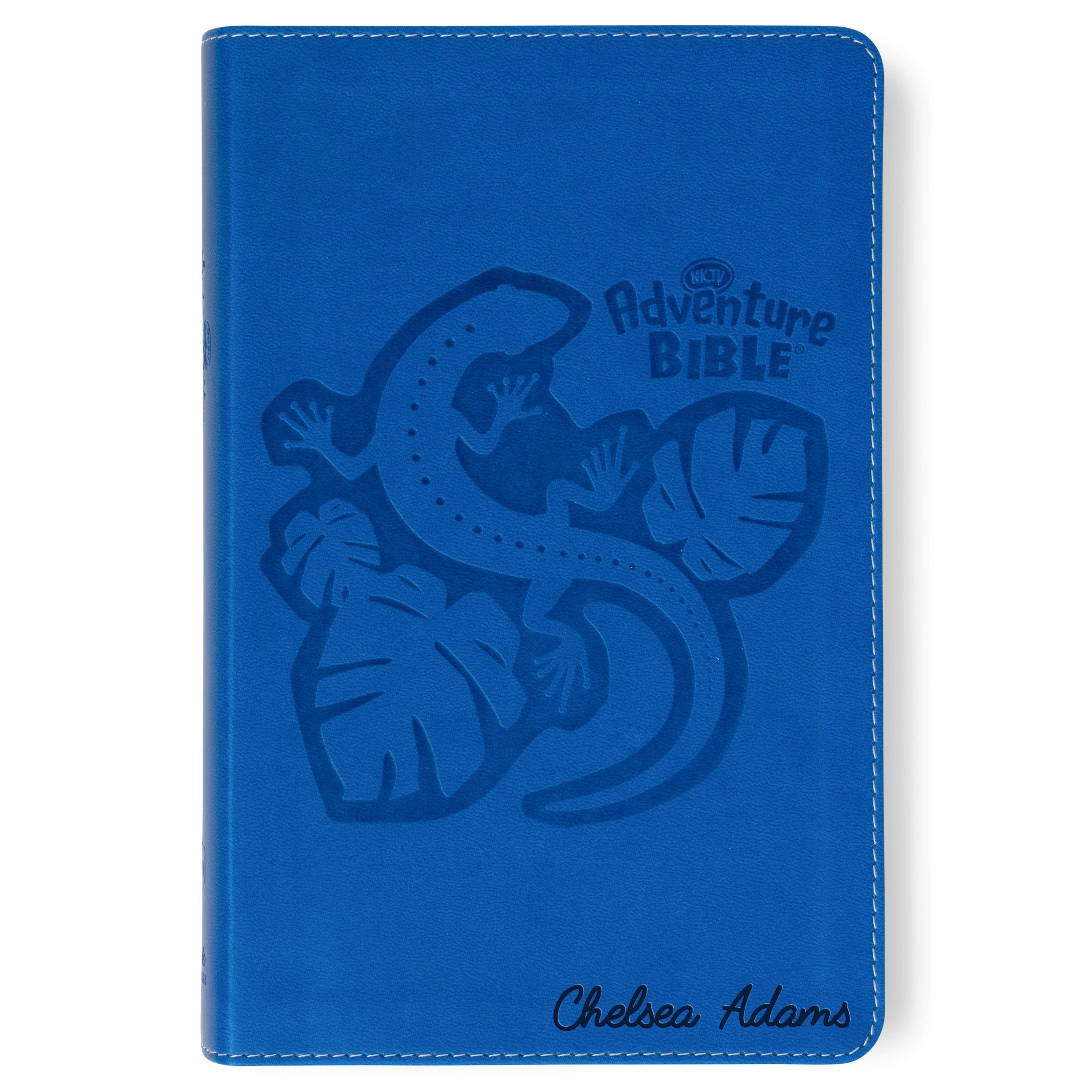 Personalized Adventure Bible for Youth, NKJV Youth's Bible with Name Engraved, Early Readers Custom Bible, Christian gifts, Baptism gift