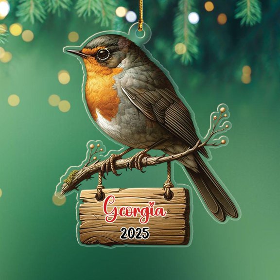 Personalized American Robin Shaped Ornament Christmas 2025, Unique American Robin Bird Keepsake Xmas Ornament, Custom Name Bird Lover Decor Ornaments Gift for Boss Coworker Friends Birthday Christmas