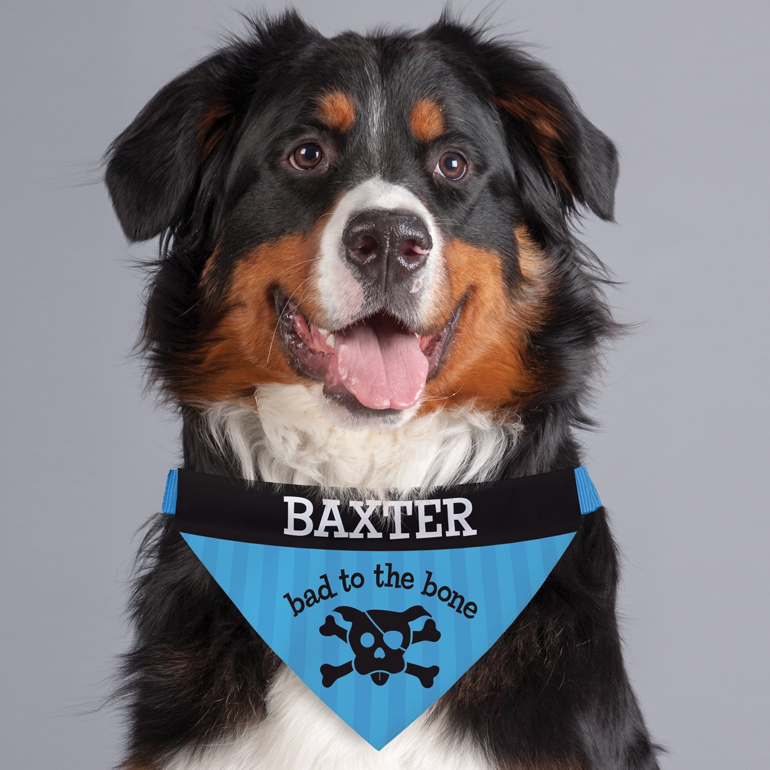 Personalized Bad To The Bone Dog Bandana Collar Cover, Blue