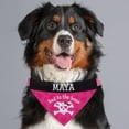 thumbnail image 1 of Personalized Bad To The Bone Dog Bandana Collar Cover, Pink, 1 of 2