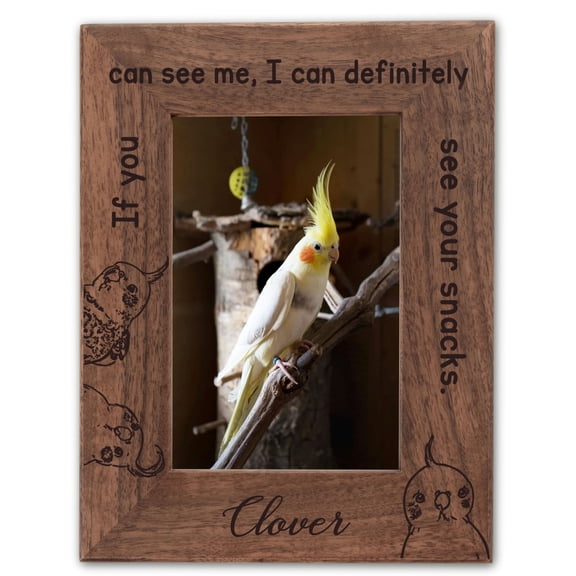 Personalized Bird Picture Frame, Genuine Walnut Bird Photo Frame 4x6, Bird Picture Wall Decor, Bird Memorial Gift, Bird Loss Gifts
