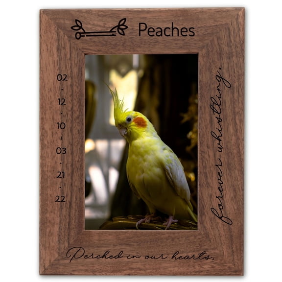 Personalized Bird Picture Frame, Genuine Walnut Bird Photo Frame 4x6, Bird Picture Wall Decor, Bird Memorial Gift, Bird Loss Gifts