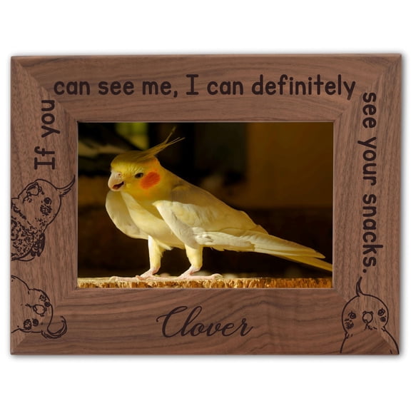 Personalized Bird Picture Frame, Genuine Walnut Bird Photo Frame 4x6, Bird Picture Wall Decor, Bird Memorial Gift, Bird Loss Gifts