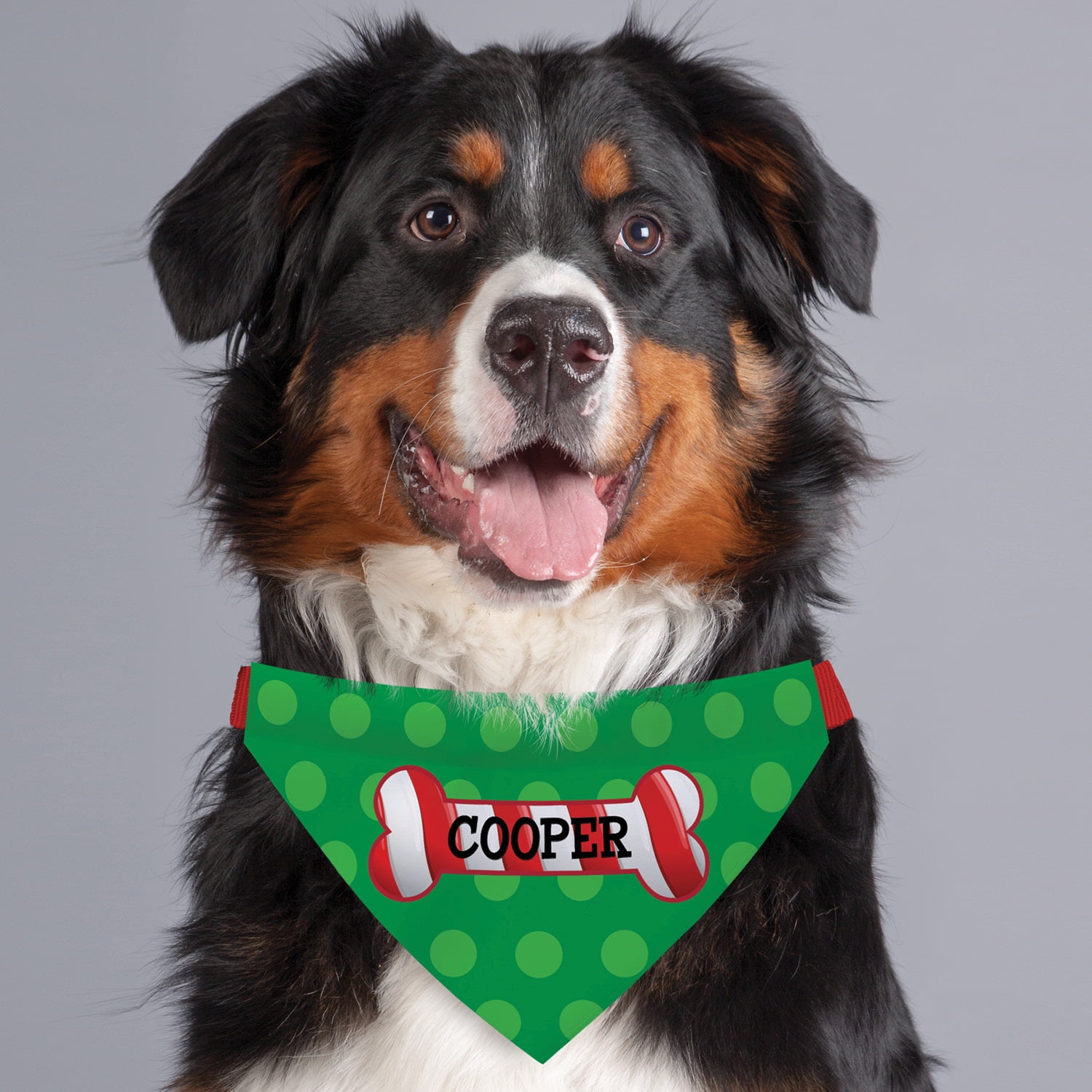 Personalized Candy Cane Bone Dog Bandana Collar Cover