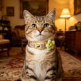thumbnail image 1 of Personalized Cat Collar with Custom Name & Phone Number, Reflective Soft Neoprene Collar with Flower Decoration, Quick Release Buckle, Adjustable for Cats and Kittens (M: Fit 13.7-19.6" Neck), 1 of 4