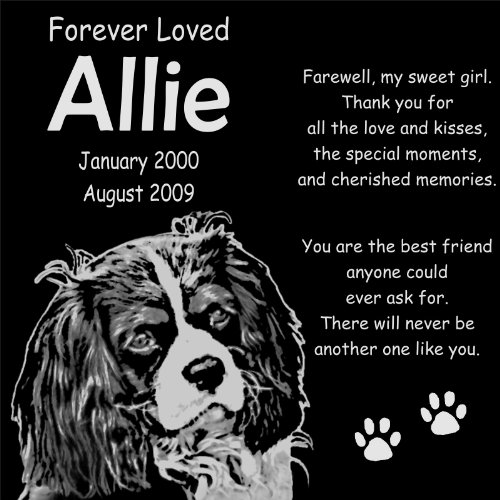 Custom Engraved 12x12 Granite Pet Memorial Stone - Personalized Grave Marker