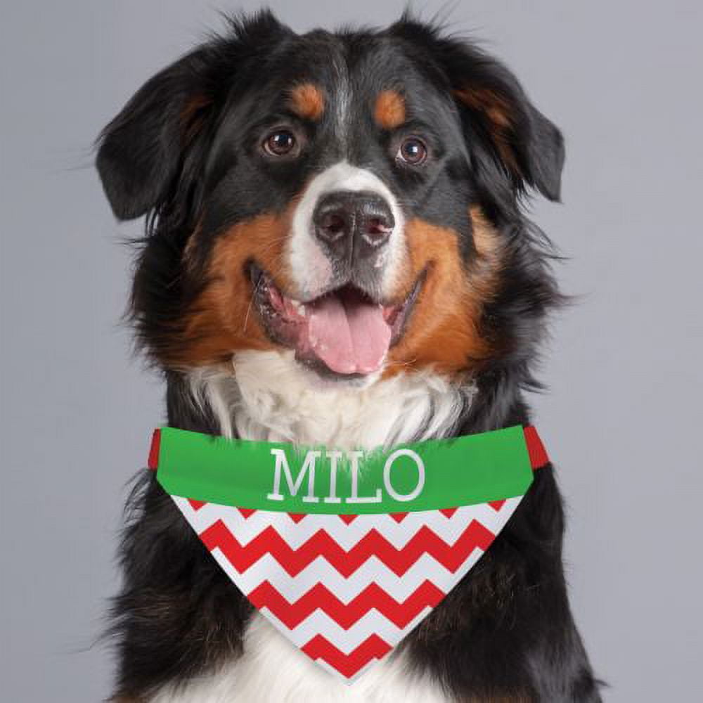 Personalized Christmas Chevron Pet Bandana