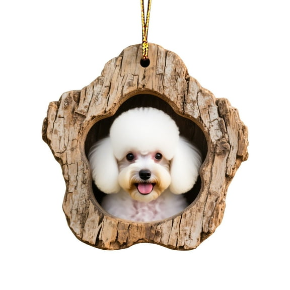 Personalized Christmas Ornament Double-Sided Printed Acrylic Keepsake for Family Coworkers Holiday Decorations Party Favors Home Tree Decoration