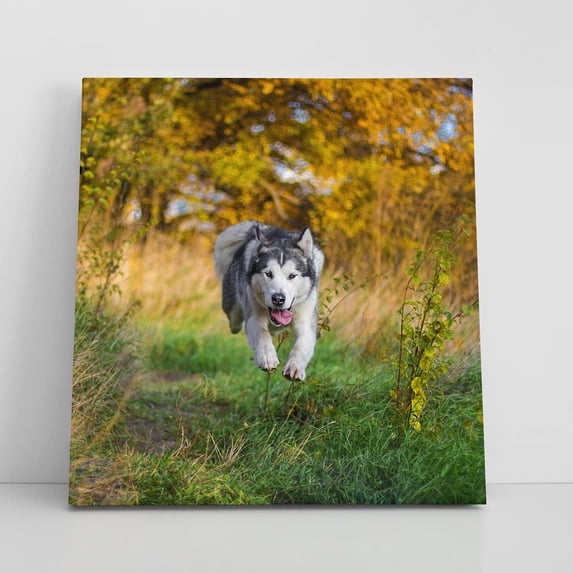 Personalized Custom Canvas Prints Photo On Canvas w/Framed Transform Your Photos Wall Art Printed Photo