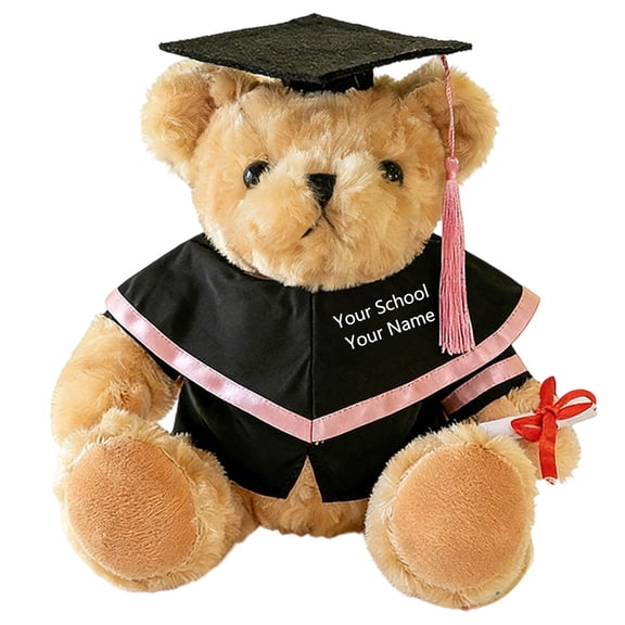 Personalized Diy Graduation Bear Plush Bear With Custom Name & School Text Graduation Keepsake Gift(Pink-27Cm)