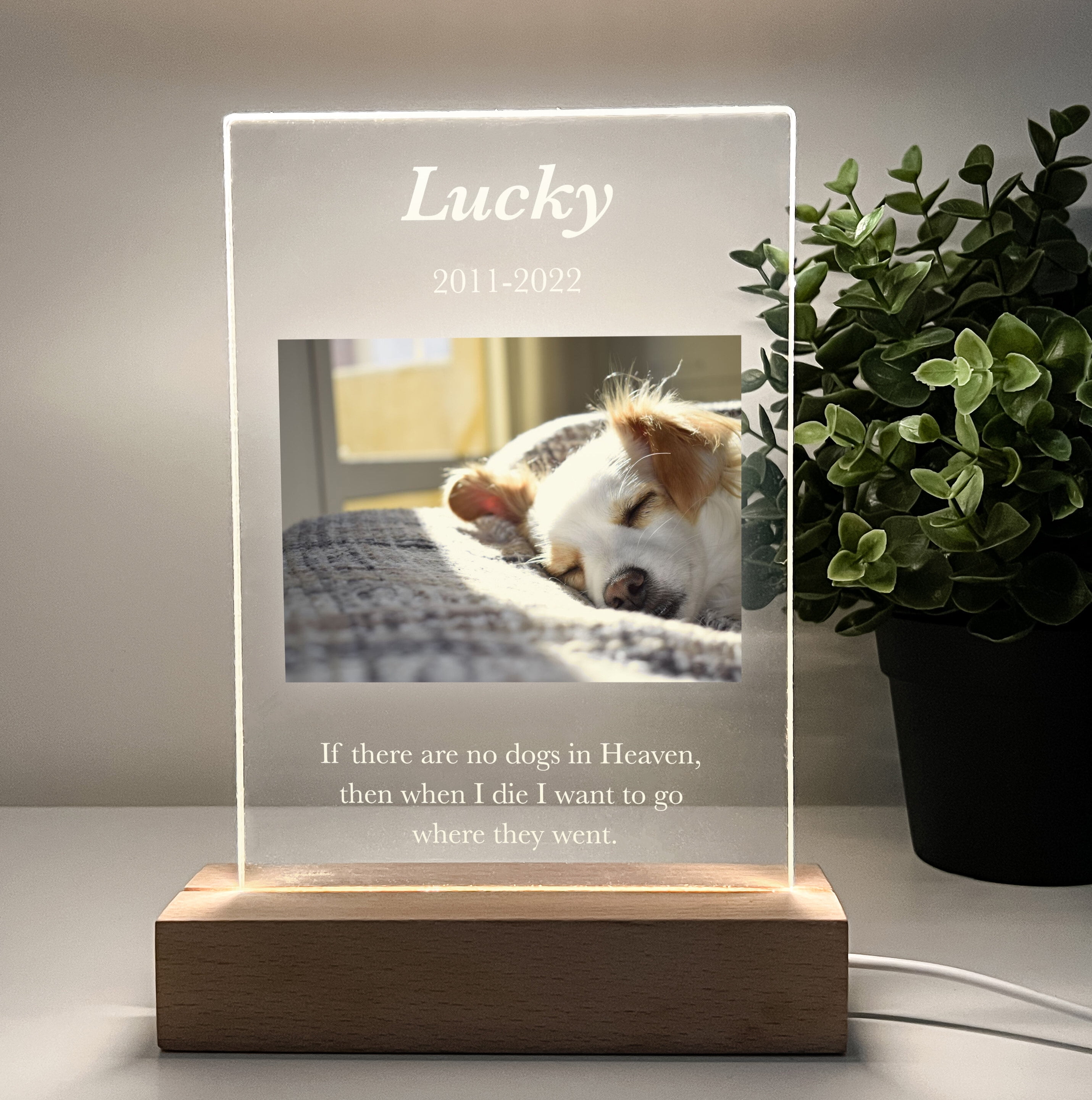 Personalized Dog Cat Pet Owner Night Light Custom Photo Dog Lamp In ...