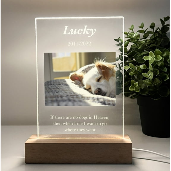 Personalized Dog Cat Pet Owner Night Light Custom Photo Dog Lamp In Loving Memory Remembrance Loss Decor Pet Memorial Gift for Pet Dog Lover