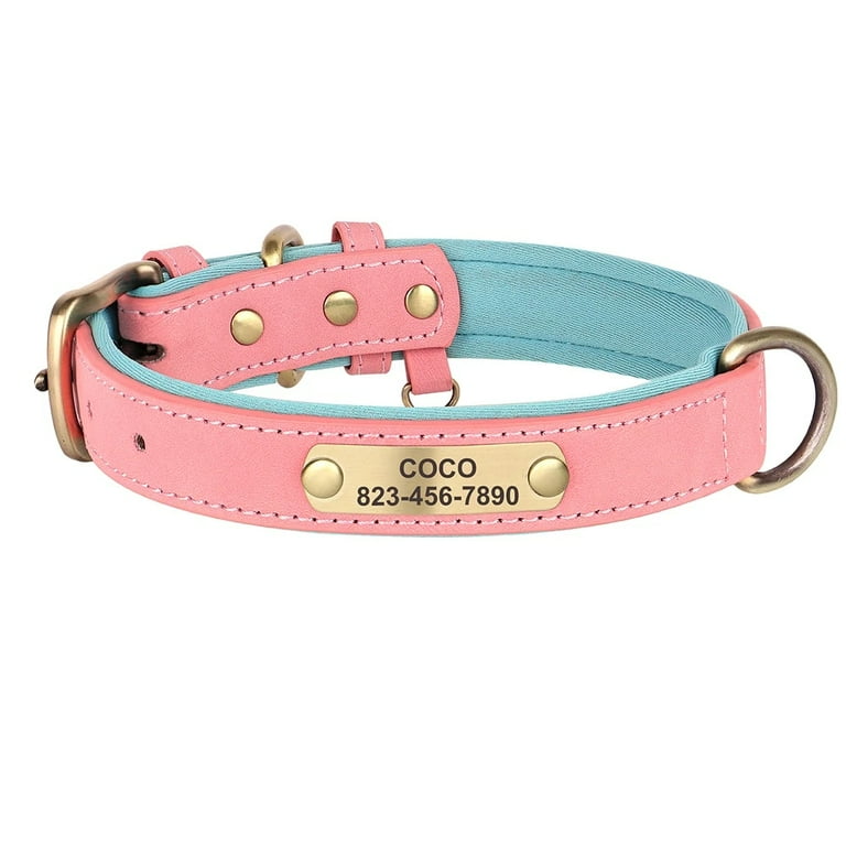 Custom pitbull collars sales