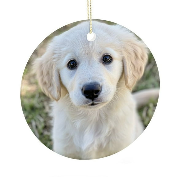 Personalized Dog Photo Ceramic Ornament Dog Memorial Gifts Personalized Christmas Ornament Christmas Tree New Year Party Decorations Supplies