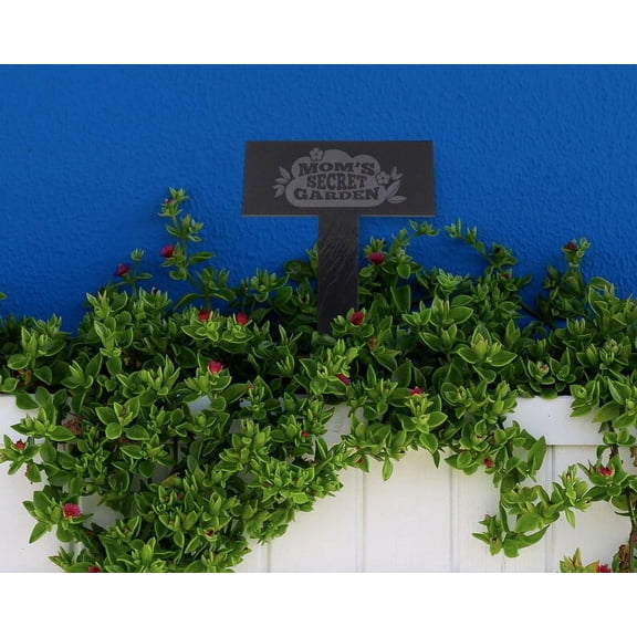 Personalized Garden Stake | Mom Secret Garden | Garden Pun | Garden Stake | Mother's Day Gift | Gift for Mom | Garden Stone