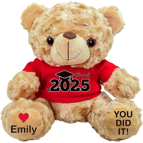 Personalized Graduation Bear Decoration, New Custom Name Year Embroidery, 10 Inch Soft Plush Stuffed Animal Gift for Girls Boys High School College Kindergarten, Brown Cap Gown Diploma Keepsake