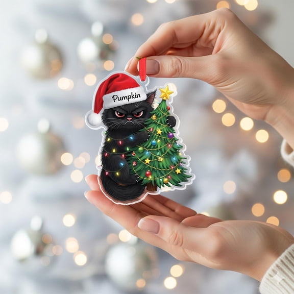 Personalized Grumpy Black Cat Christmas Ornament: Funny Cat Lover Gift