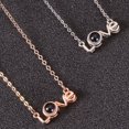 thumbnail image 1 of Personalized Love Pendant Photo Projection Necklace | Custom Memorial Locket with Hidden Picture, 1 of 1