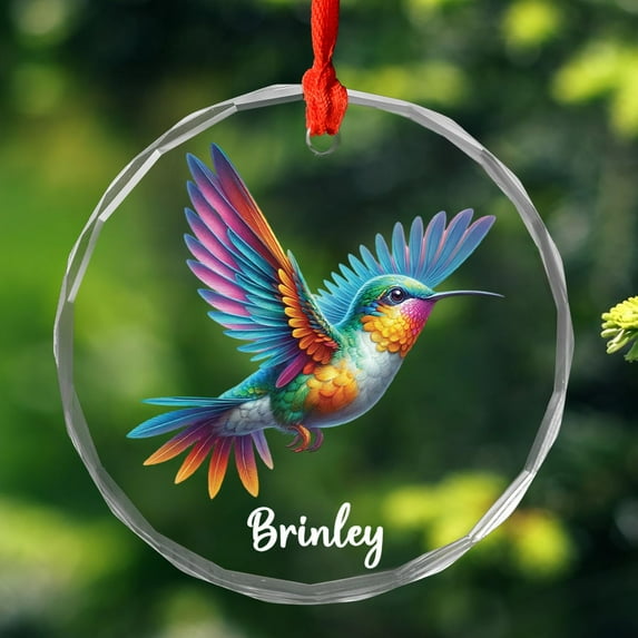 Personalized Name Hummingbird Lover Glass Christmas Ornament 2025, Hummingbird Keepsake Ornaments Gift for Men Women Family, Customized Name Hummingbirds Xmas Ornament, Hummingbirds Glass Ornaments