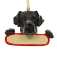 thumbnail image 1 of Personalized Ornaments Chocolate Lab Polyresin Christmas Puppy Dog 21822, 1 of 2
