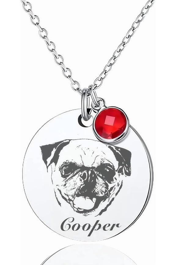 Personalized Pet Memorial Necklace – Custom Engraved Photo & Birthstone Pendant for Dog & Cat Lovers – Stainless Steel Keepsake Gift with Gift Box (12 Birthstone Options)