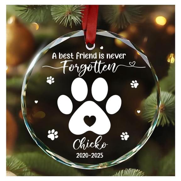 Personalized Pet Memorial Ornament Gifts Dog Remembrance - Custom Name Crystal Ornaments 3'' - Sympathy Remembrance Gift for Loss of Dog, Bereavement Gifts for Christmas