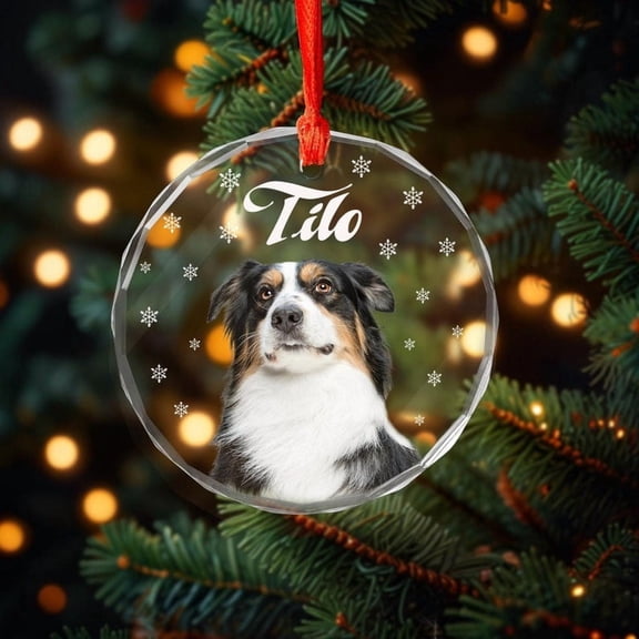 Personalized Pet Ornament, Puppy Picture Ornament, Dog Cat Ornament, Pet Lover Gift, Pet Memorial, Christmas Ornament, Christmas Gift