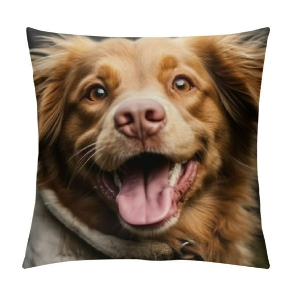 Personalized Pet Picture Memorial Pillow with Insert Double-Sided Printed Sympathy Gifts for Loss of Dog - Remembrance Gifts - Custom Pet Photo Memorial Gifts Pillow Sofa Home Decor