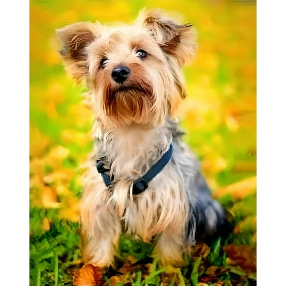 Personalized Photo to Canvas Print - Canvas Prints With Your Photos on Custom Wall Art for Bedroom, Living Room, Wedding Baby Pet Family Picture Framed Wall Art (12" W x 16" H)