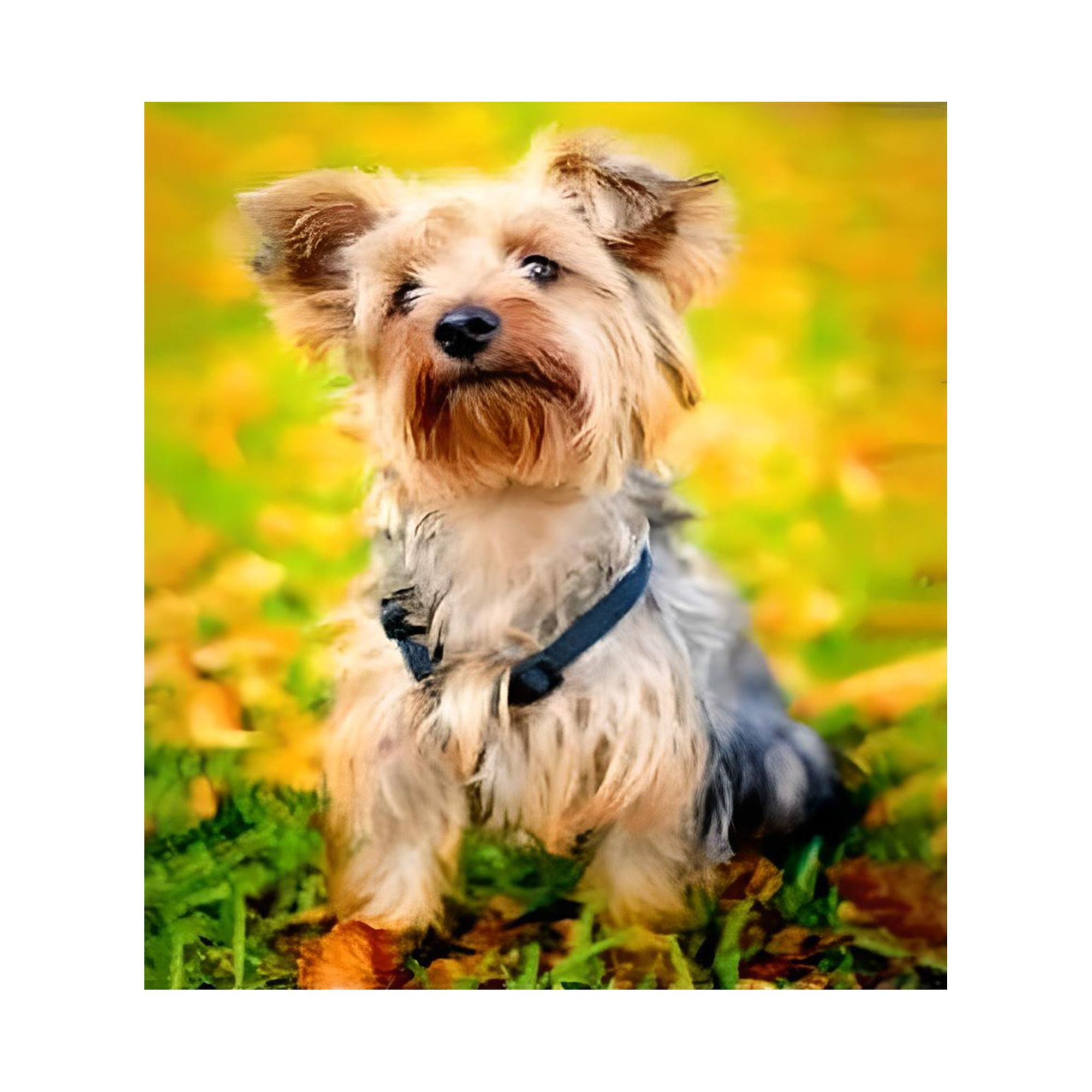 Personalized Photo to Canvas Print - Canvas Prints With Your Photos on Custom Wall Art for Bedroom, Living Room, Wedding Baby Pet Family Picture Framed Wall Art (11" W x 14" H)