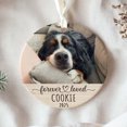 Personalized Photo Pet Ornament - Custom Pet Portrait Christmas ...