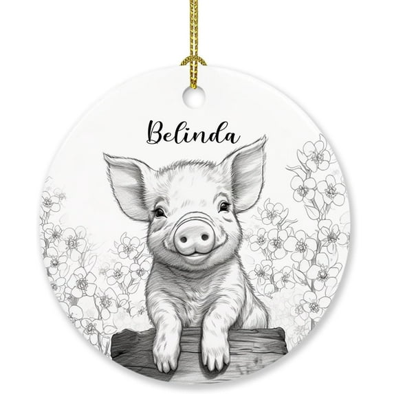 Personalized Pig Christmas Ornament Gift, Drawing Pencil Pig Ornaments Gifts for Men Women Pig Lovers, Cute Pig Ornament Christmas 2025, Customized Name Pig Lover Ornaments Keepsakes Xmas Tree Gift
