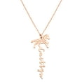 thumbnail image 1 of Personalized Planet Women's Personalized Vertical Script Name with Chinese Zodiac Sign Necklace, 1 of 4