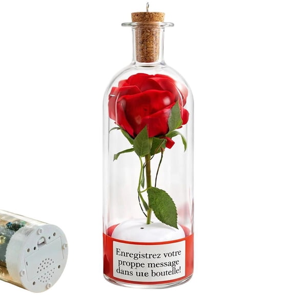 Personalized Recording Rose Message in Glass Bottle for Valentine's Day, Anniversary, and Home Decor