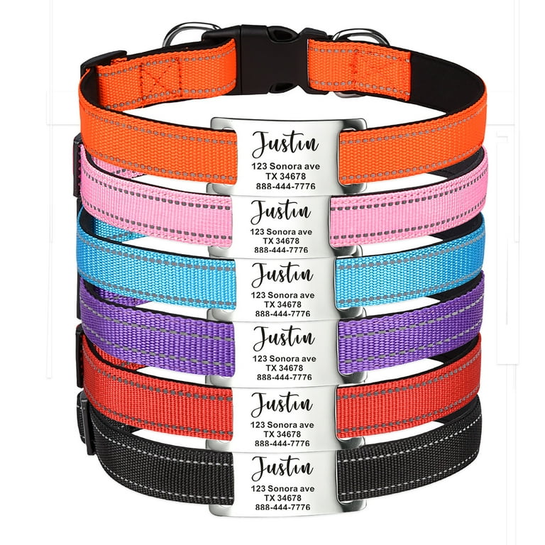 Nylon dog collar with nameplate online